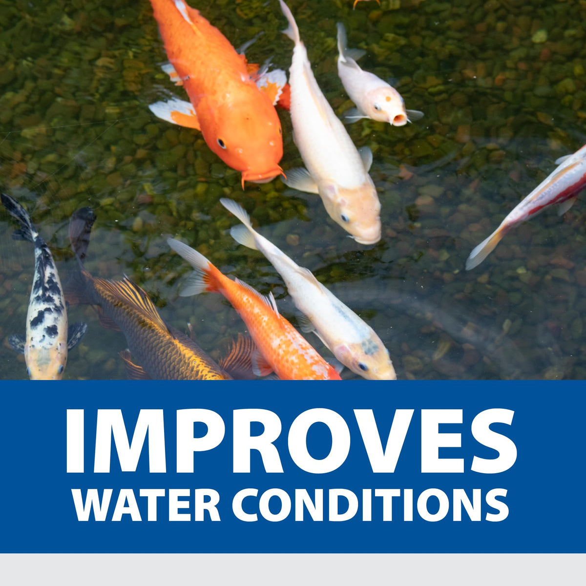 The Pond Guy product suits water garden, koi, and other ornamental ponds.