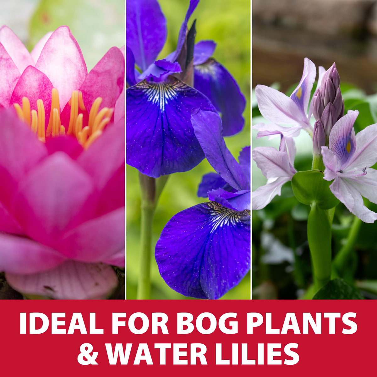 The Pond Guy aquatic media with pH-neutral granules supports balance.