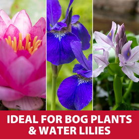 The Pond Guy aquatic media with pH-neutral granules supports balance.