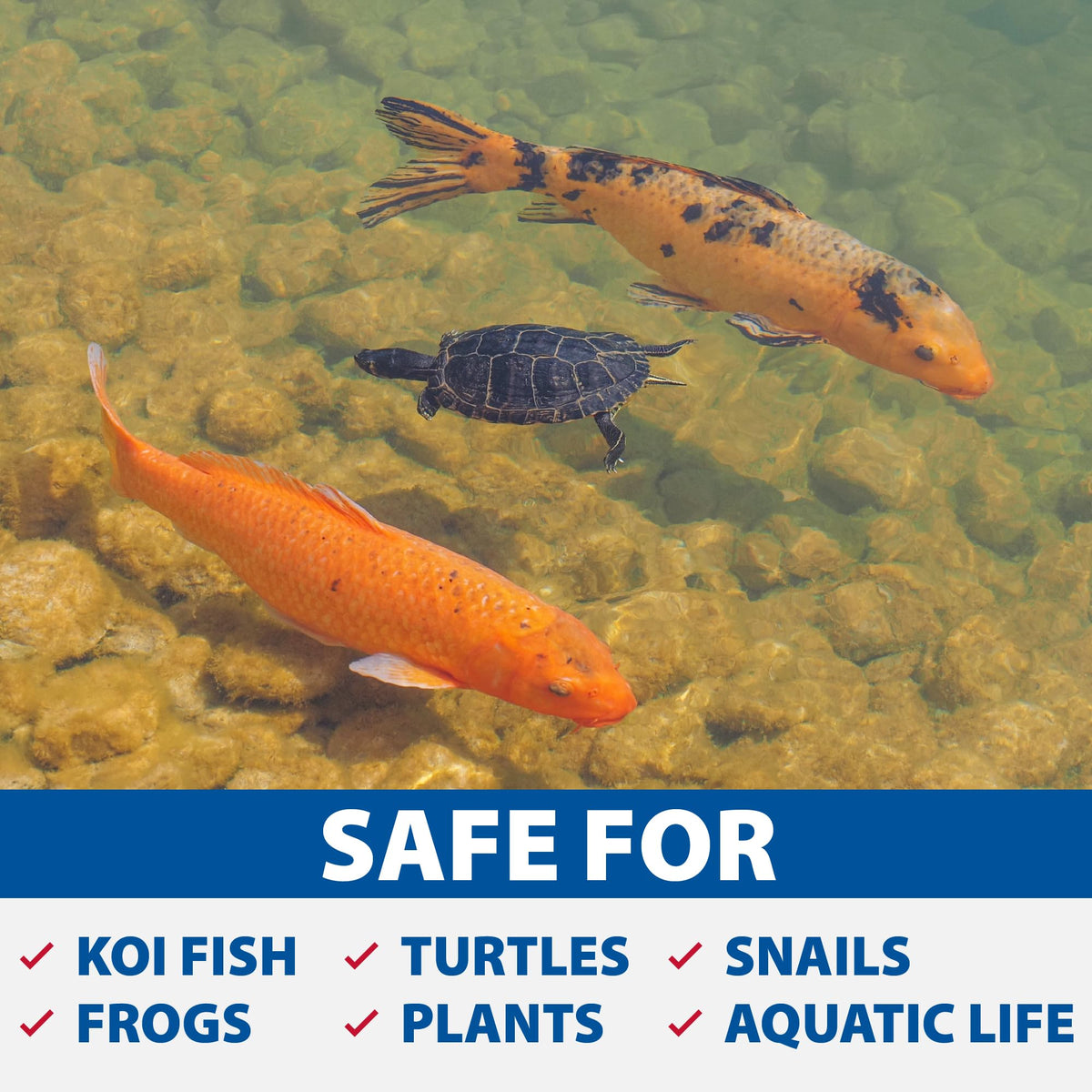 The Pond Guy UltraUV pond assembly demonstrates safe, life-friendly operation