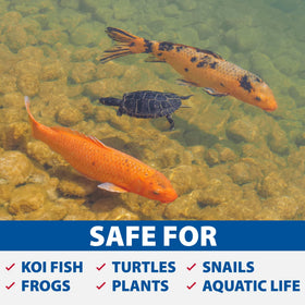 The Pond Guy UltraUV pond assembly demonstrates safe, life-friendly operation