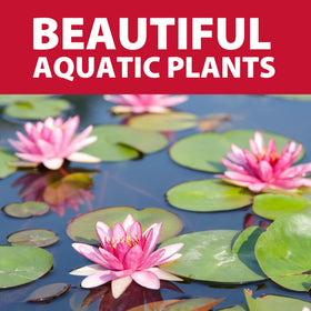 The Pond Guy kit in-use image highlights easy edge placement.