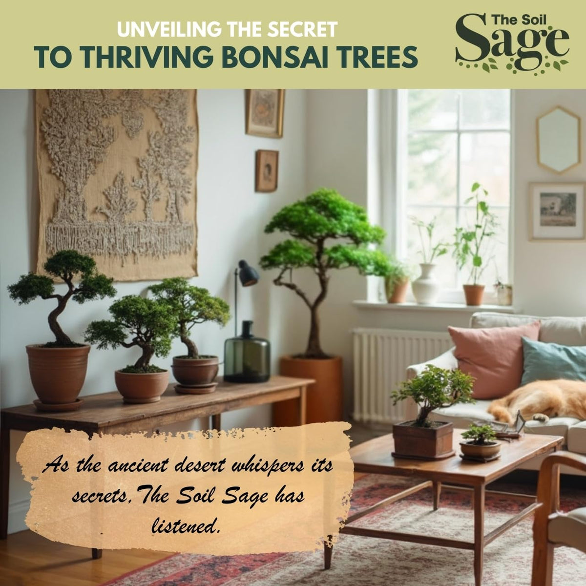 The Soil Sage bonsai mix poured into pot highlights quick, ready-to-use setup for planting.