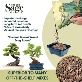 The Soil Sage bonsai root health closeup shows long-lasting soil structure.