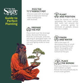 The Soil Sage bonsai seed kit pairing showcases compatibility with seed starter kits.
