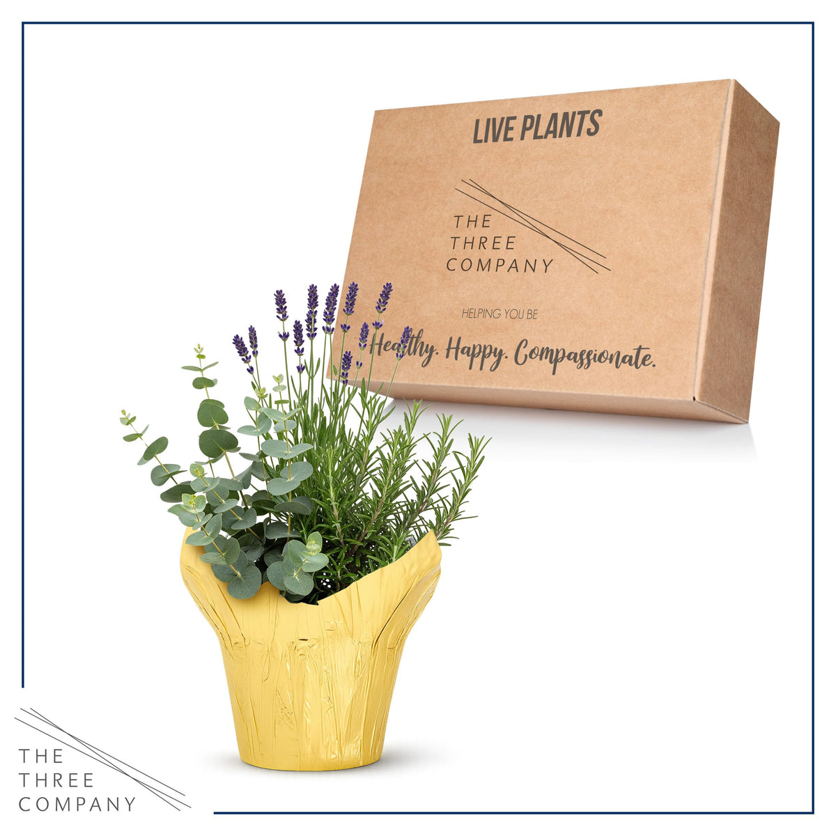Fresh live herbs shipped from The Three Company greenhouse.