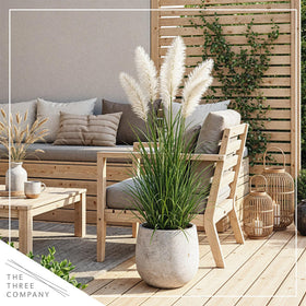 The Three Company pampas grass acts as a windbreak in sunny beds.