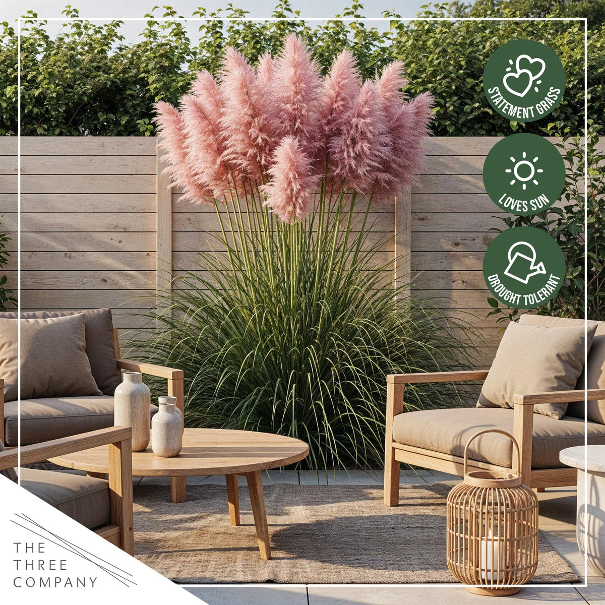 The Three Company pampas grass supports wildlife-friendly landscaping