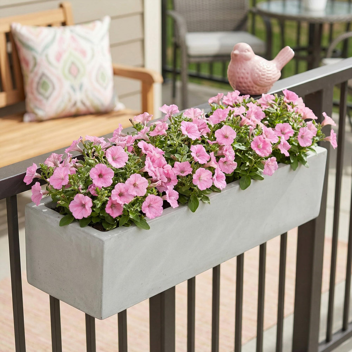Shows vigorous growth up to 24 inches tall with 36 inches spread.