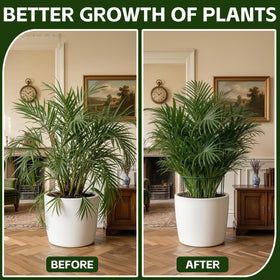 Thealyn 10-pack plant supports offer value without sacrificing sturdy performance.