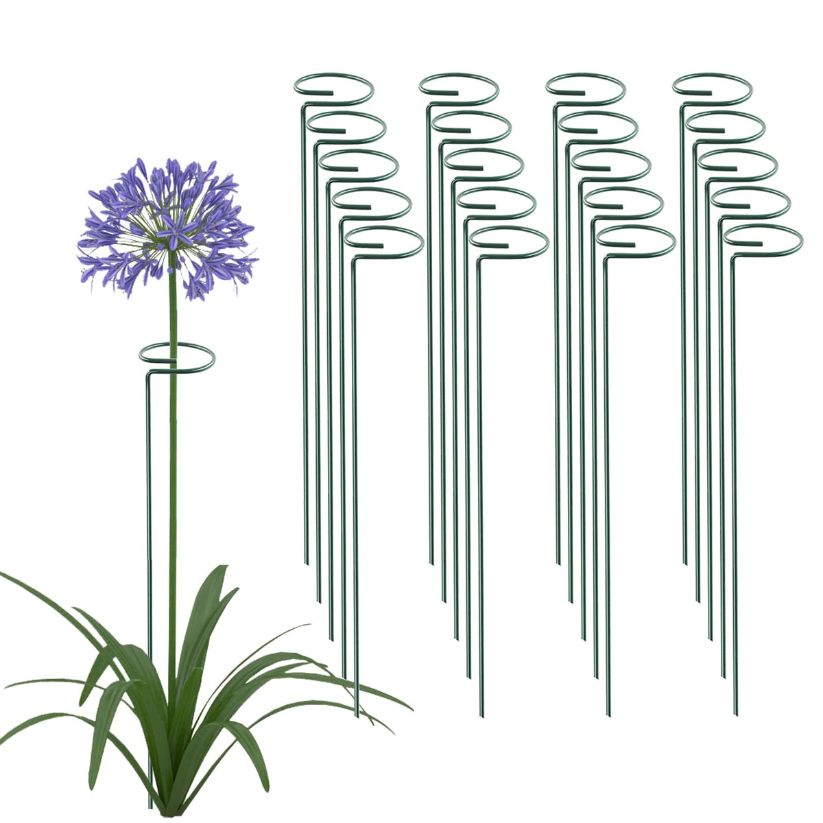 Thealyn 20-pack plant stakes with 16-inch height for upright stem support.