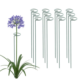 Thealyn 24-inch plant stake with hoop keeps tall stems upright.
