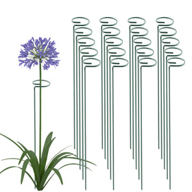 Thealyn 36 inch plant support stake stabilizes tall stems for blooms