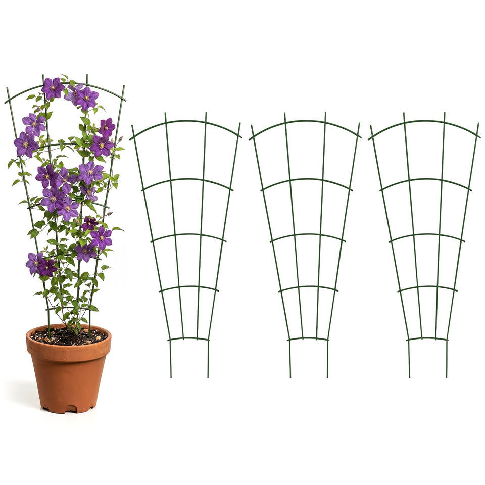 Thealyn 4-pack fan-shaped green trellis supports climbing plants for tidy vertical growth.