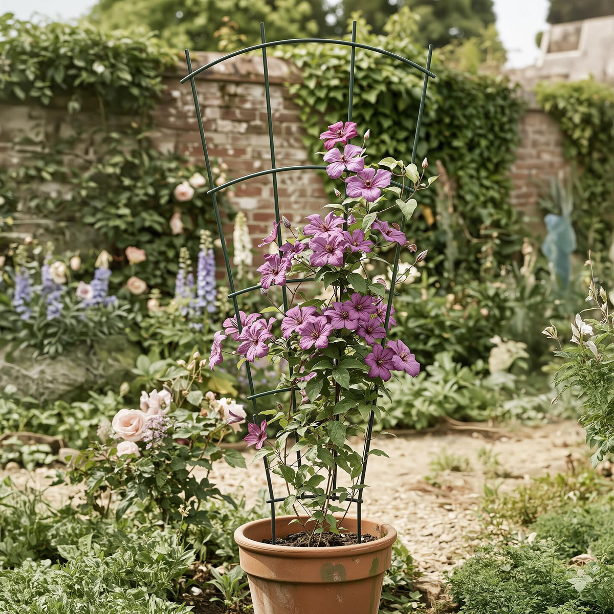 Thealyn supports cucumbers and tomatoes in pots for vertical growth.