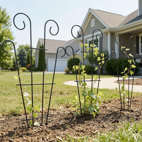 Thealyn decorative garden accent enhances planter displays