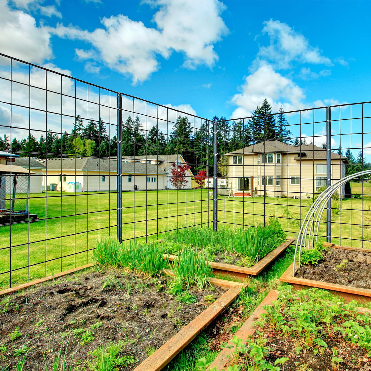 Thealyn drive-in installation makes setup fast and back-friendly.
