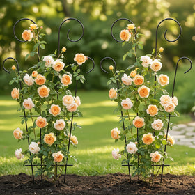 Thealyn for potted vines and climbers in containers