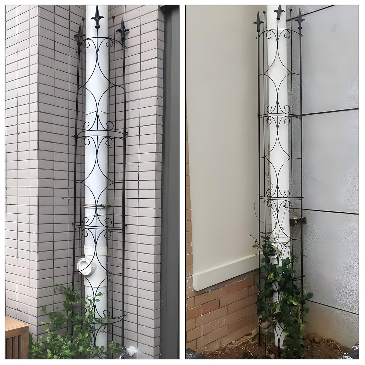 Thealyn Garden Trellis circular configuration for lush coverage