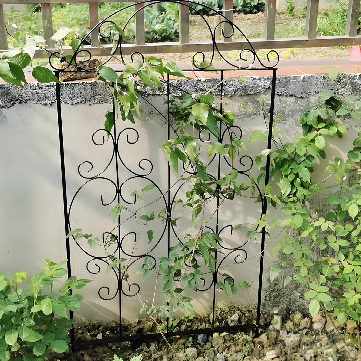 Thealyn trellis supports climbing plants like roses, ivy, and tomatoes.