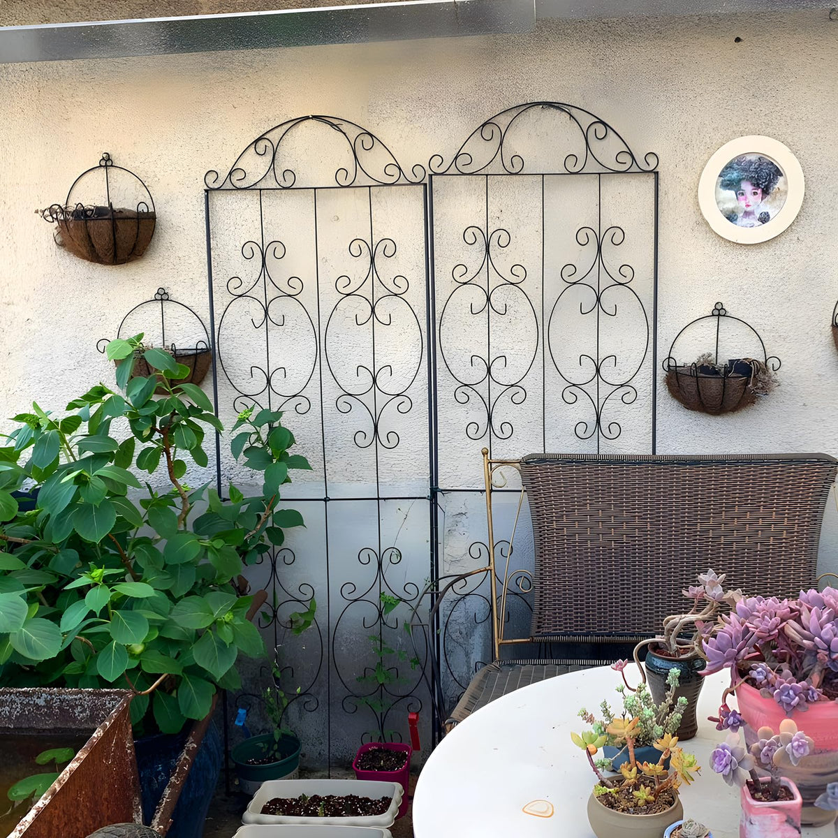 Thealyn heavy-duty steel trellis withstands heavy vines and weather.