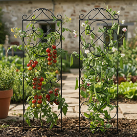 Thealyn trellis supporting ivy for vertical display outdoors