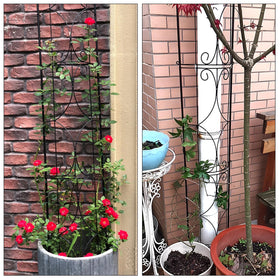 Thealyn Garden Trellis secure to outdoor pipe for vines