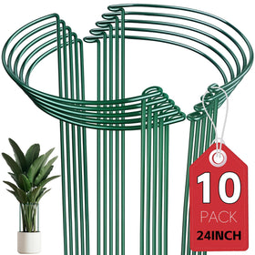 Thealyn half-round stake 10x24 supports plants without crowding delicate blooms.