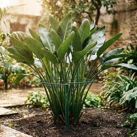 Thealyn interlocking half-round stake design supports flexible cages for tailored plant care.