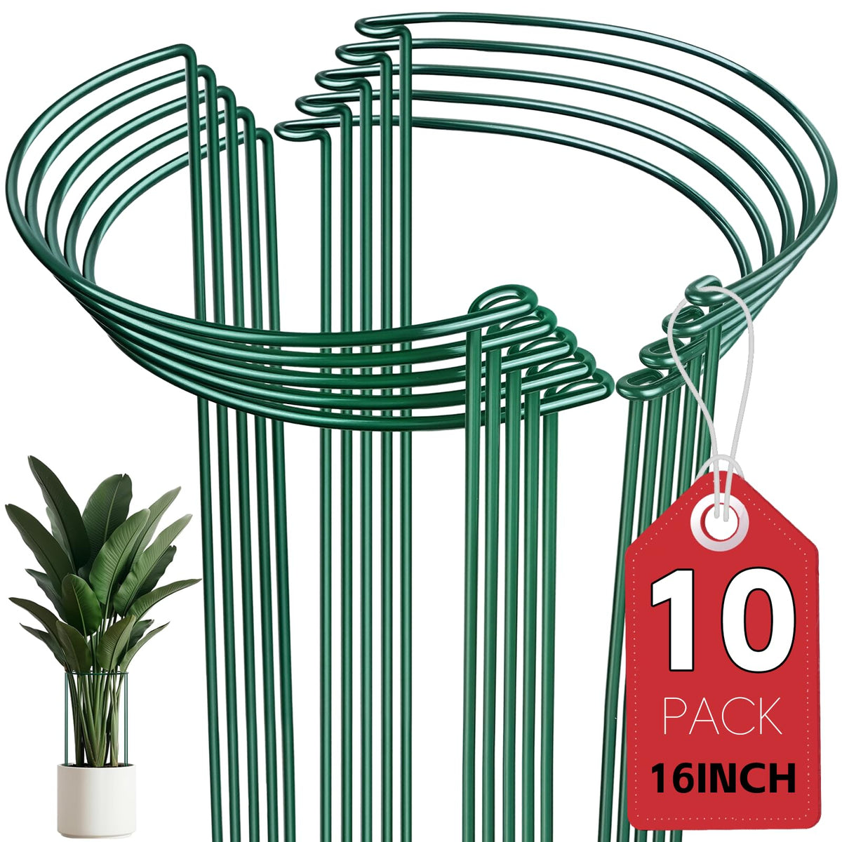 Thealyn half-round stake around indoor plants providing discreet support for healthy growth.