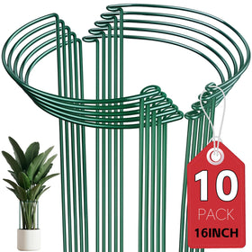 Thealyn half-round stake around indoor plants providing discreet support for healthy growth.