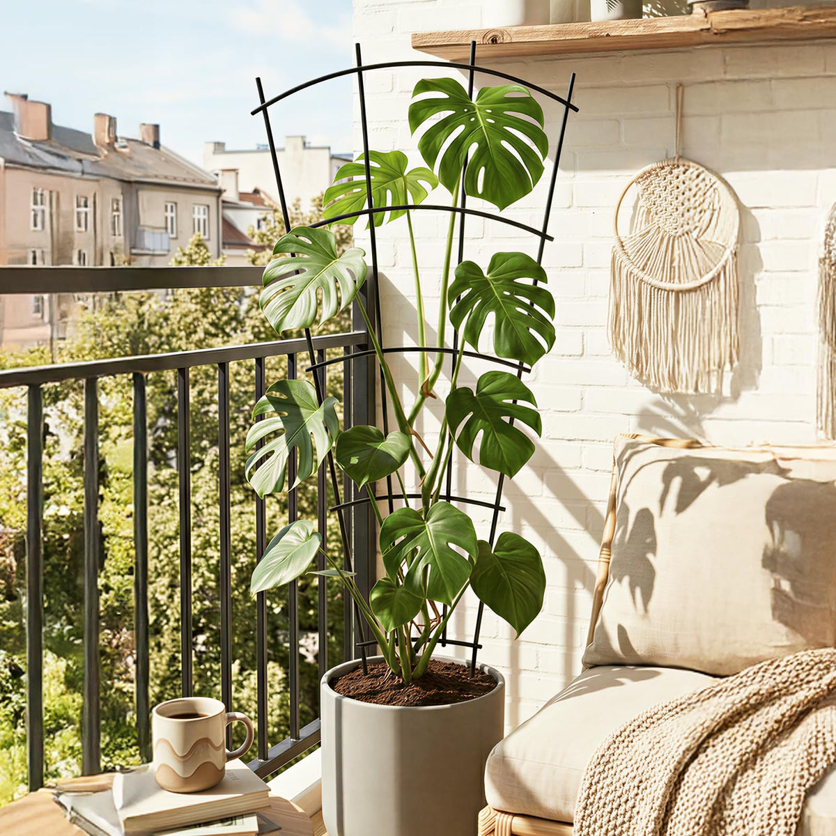 Thealyn indoor/outdoor plant support helps train ivy, clematis, and jasmine.
