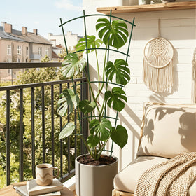 Thealyn versatile climbing support for ivy, clematis, jasmine, and roses.
