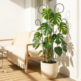Thealyn indoor-outdoor use supports large containers and verandas