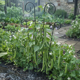 Thealyn weather-ready metal trellis for patios and balconies