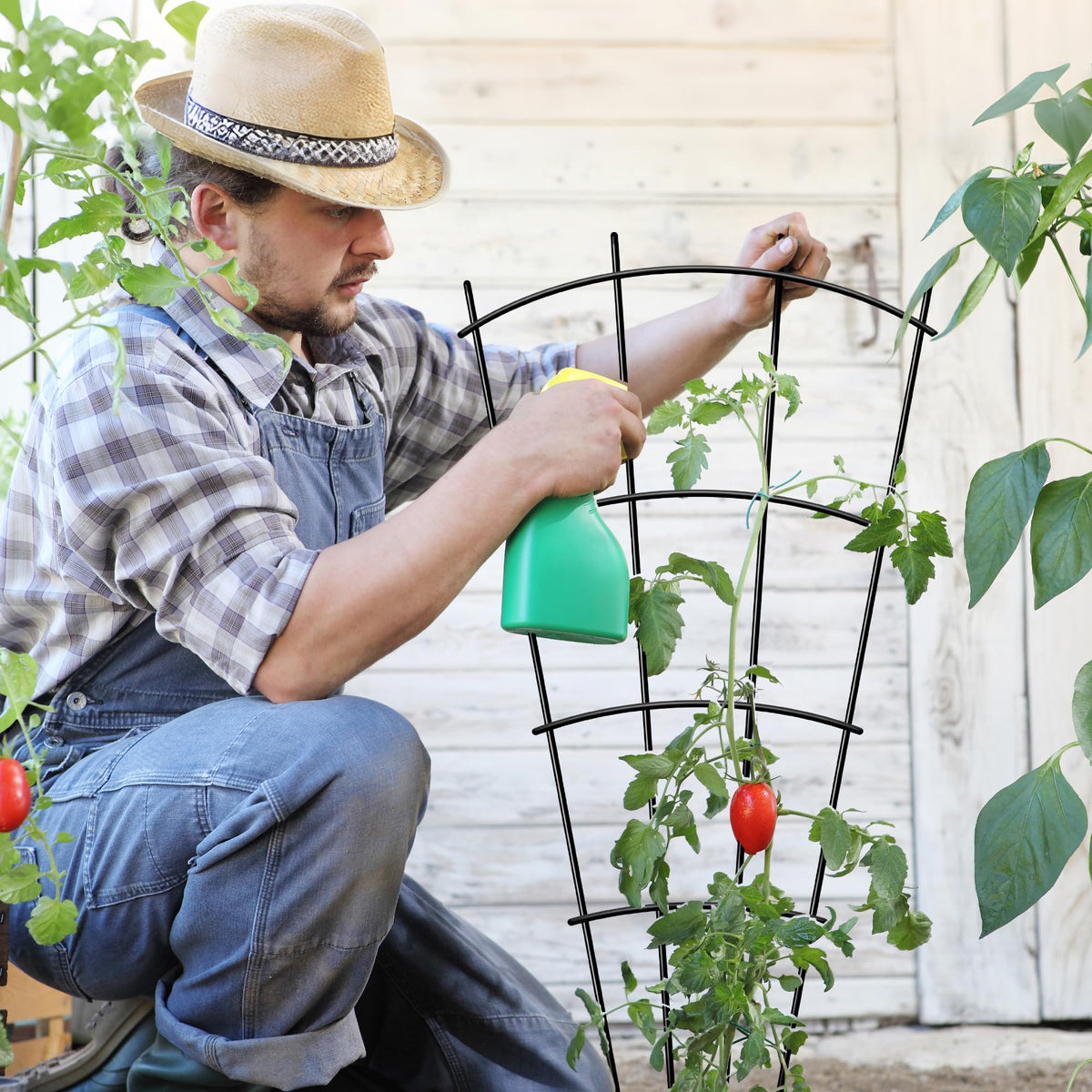 Thealyn rustproof black finish keeps trellises durable in sun and rain.