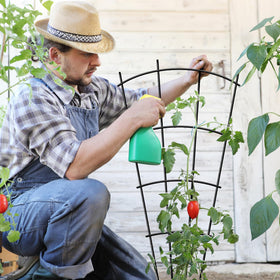 Thealyn rustproof black finish keeps trellises durable in sun and rain.