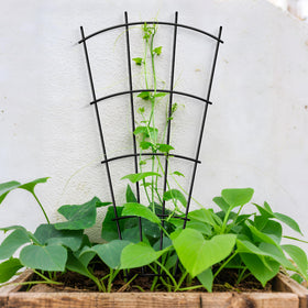 Thealyn legs push into soil for instant freestanding stability.