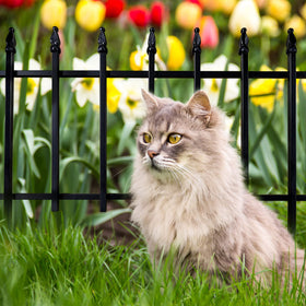 Thealyn small animal barrier fence protects garden spaces for pets.