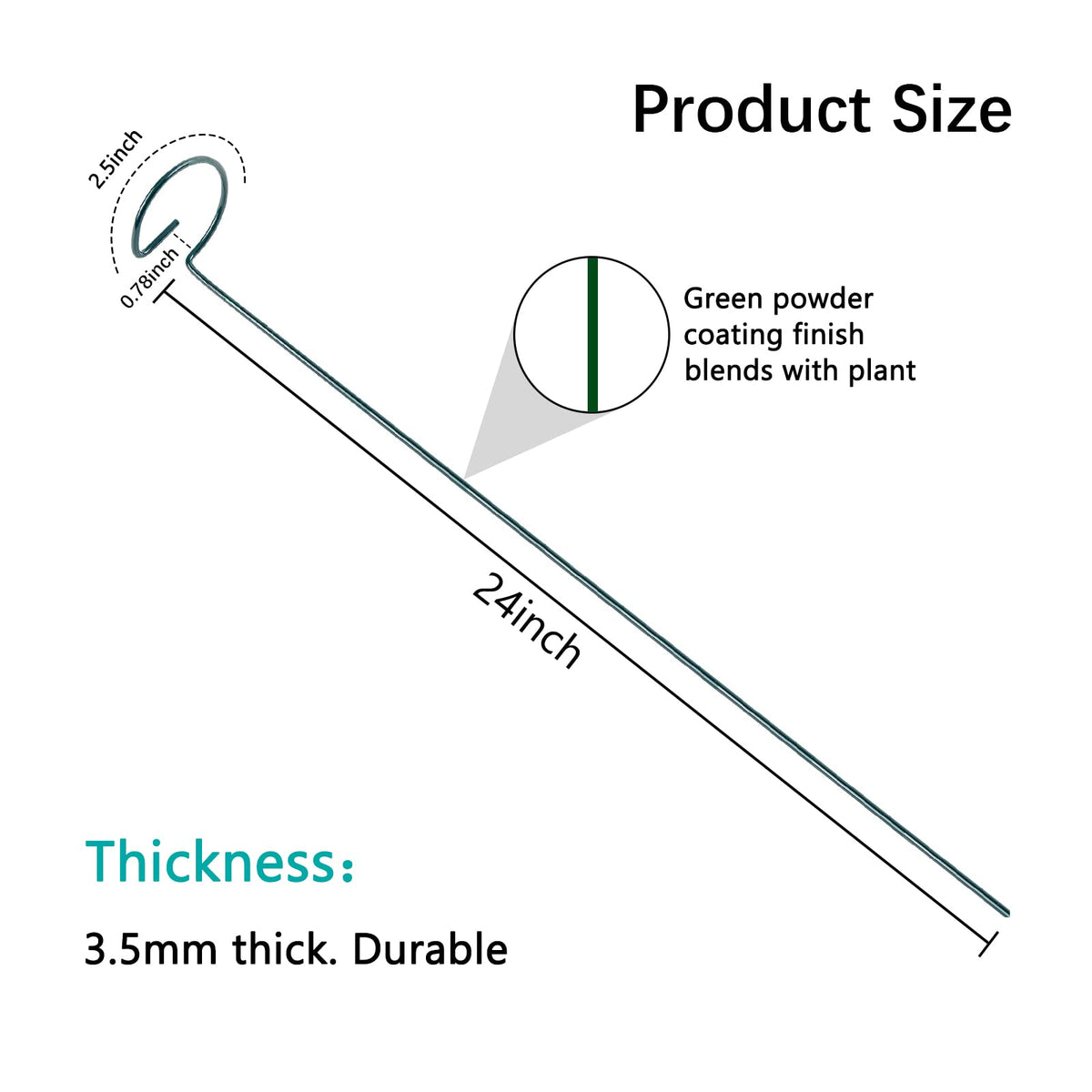 Thealyn top-ring hoop of 2.5 inches supports individual stems.