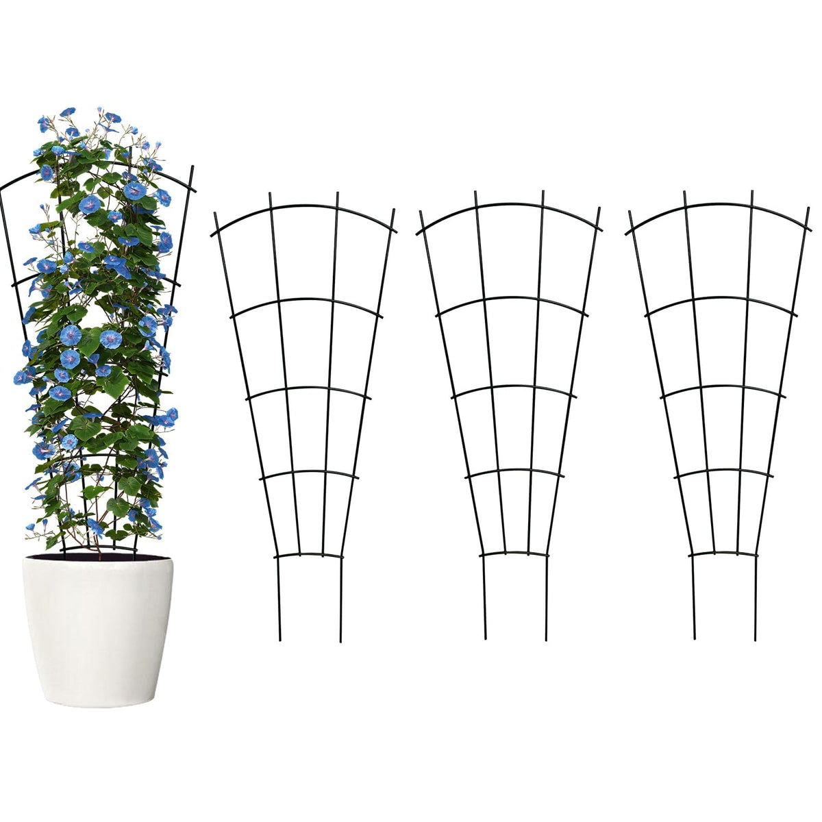 Thealyn 43-inch four-pack trellis in pot or garden for sturdy vine support