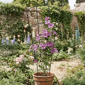 Thealyn black powder-coated trellis adds a sleek, durable garden detail.