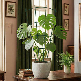 Thealyn green finish trellis inserts easily for freestanding stability.