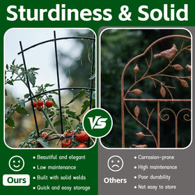 Thealyn trellis for cucumbers and cherry tomatoes in containers