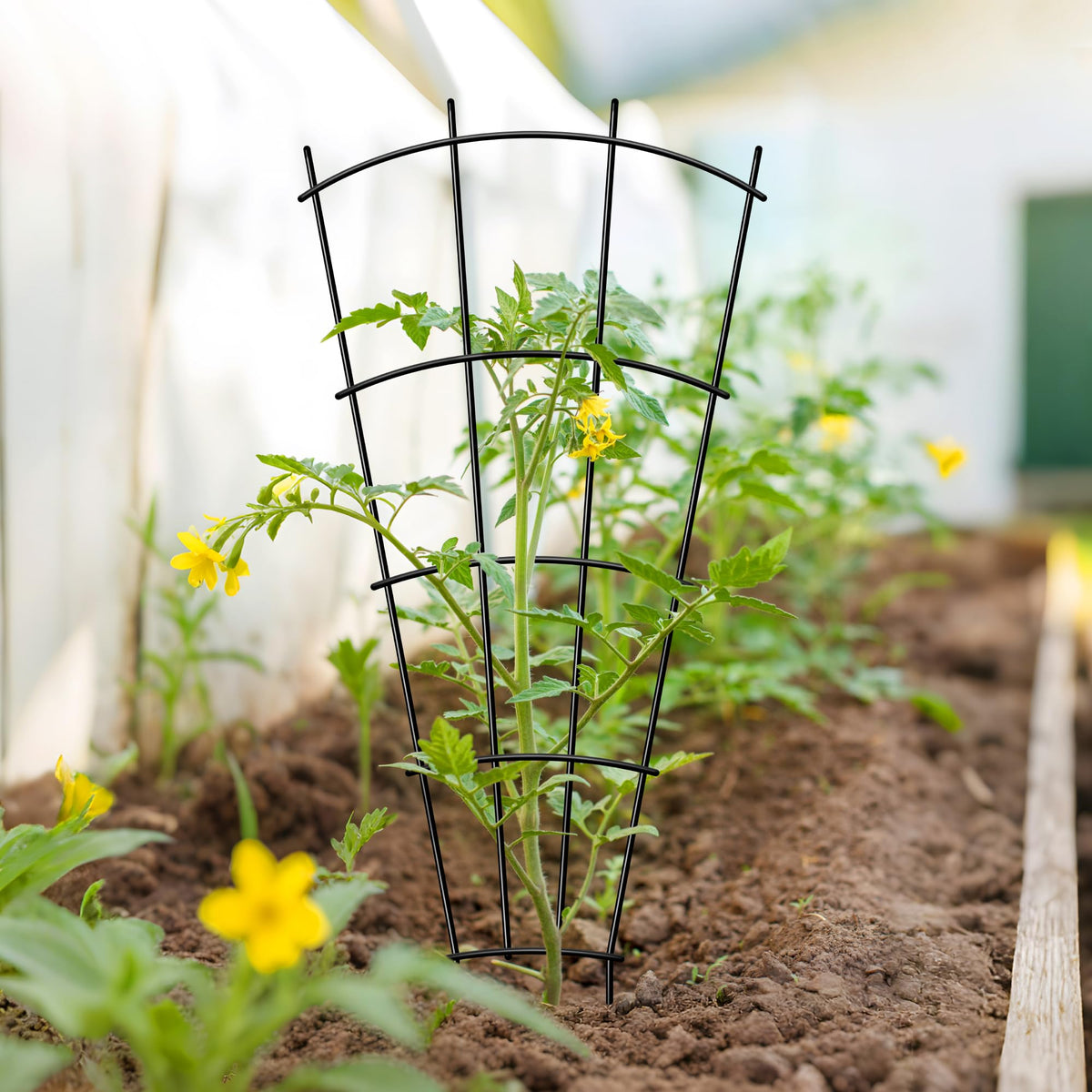 Thealyn indoor-outdoor trellis blends with decor while supporting climbers