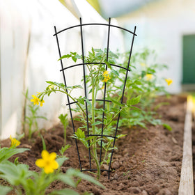 Thealyn indoor-outdoor trellis blends with decor while supporting climbers