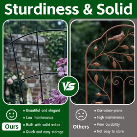 Thealyn cucumber and tomato plants benefit from sturdy stake support.