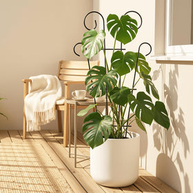 Thealyn 4-pack offers flexible placement for planters