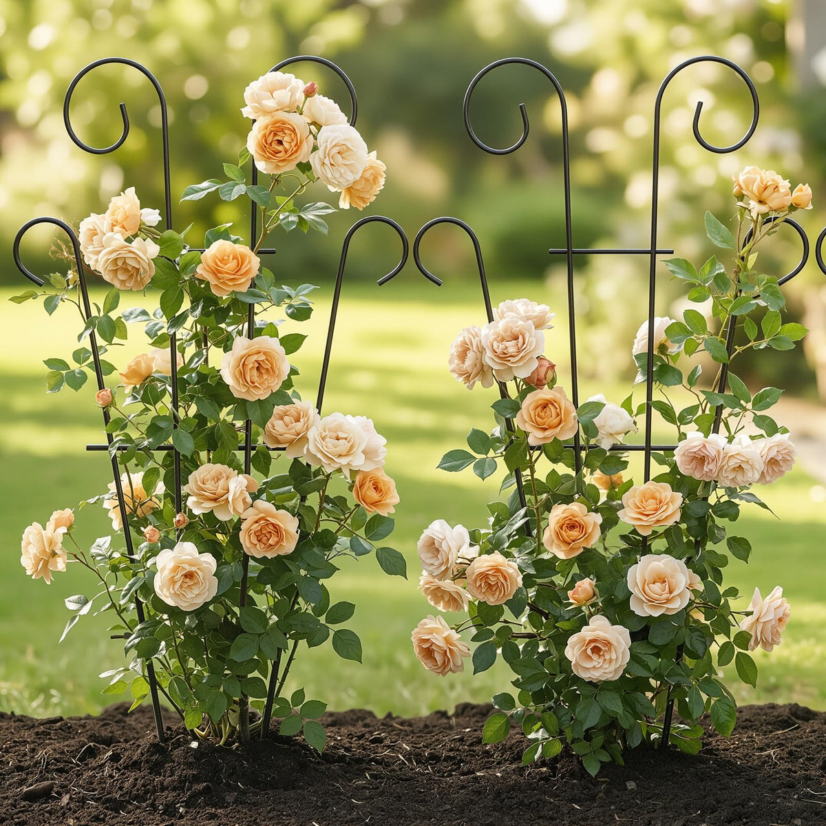 Thealyn decorative wave design adds height without overpowering plants