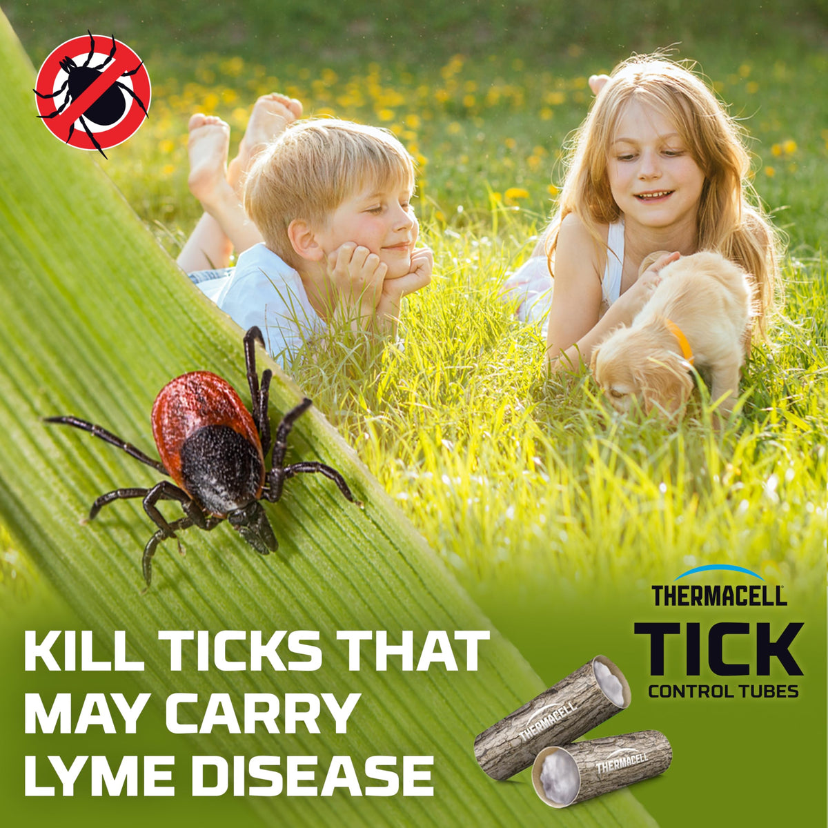 Thermacell Tick Control Tubes 12-pack ideal for twice-yearly treatment.